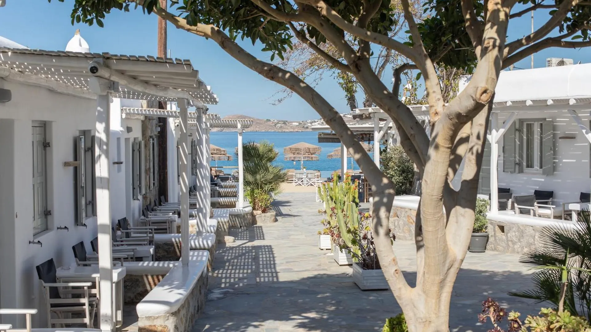 Hotel Agia Anna Beachfront Boutique Paraga